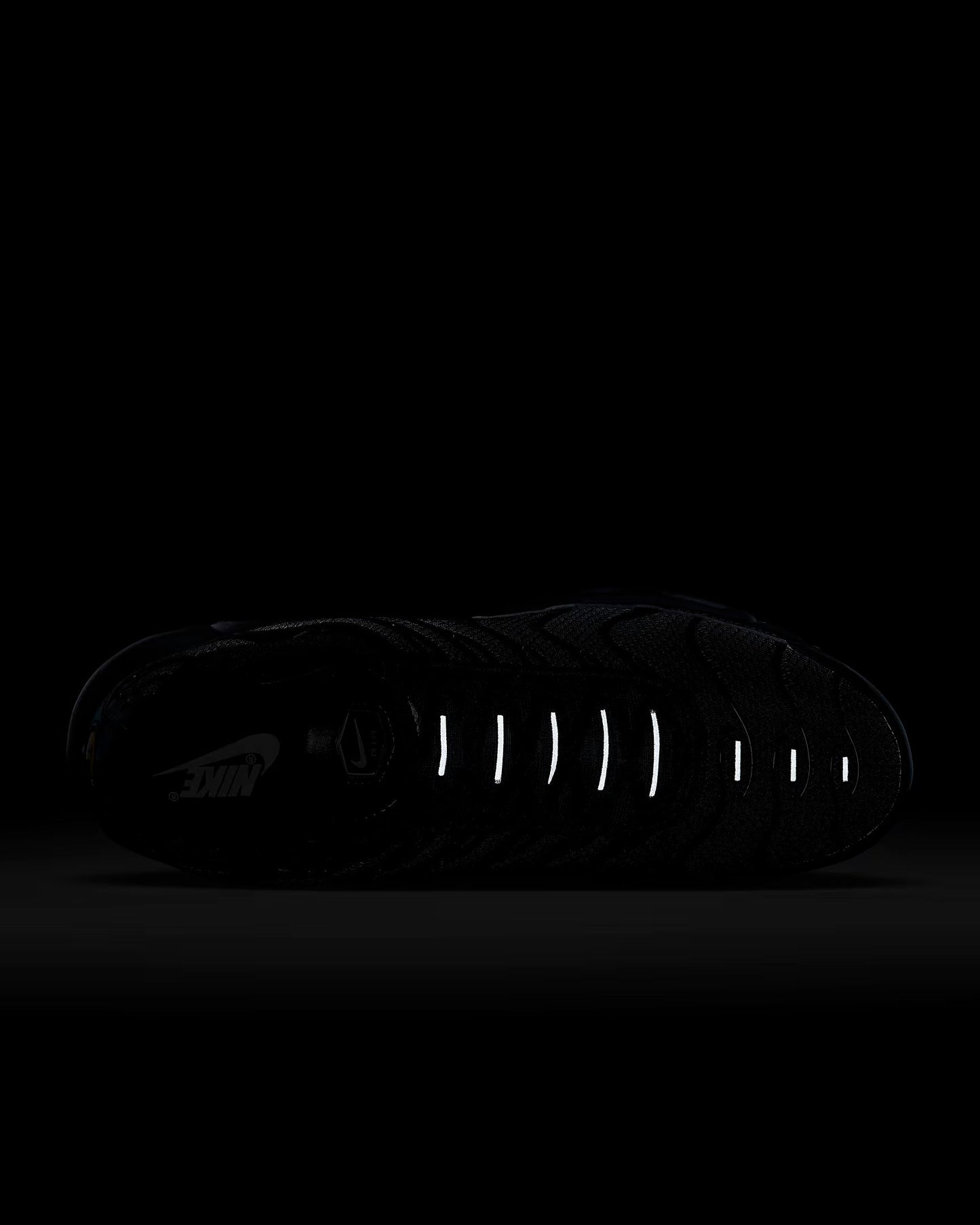 Air Max TN Plus